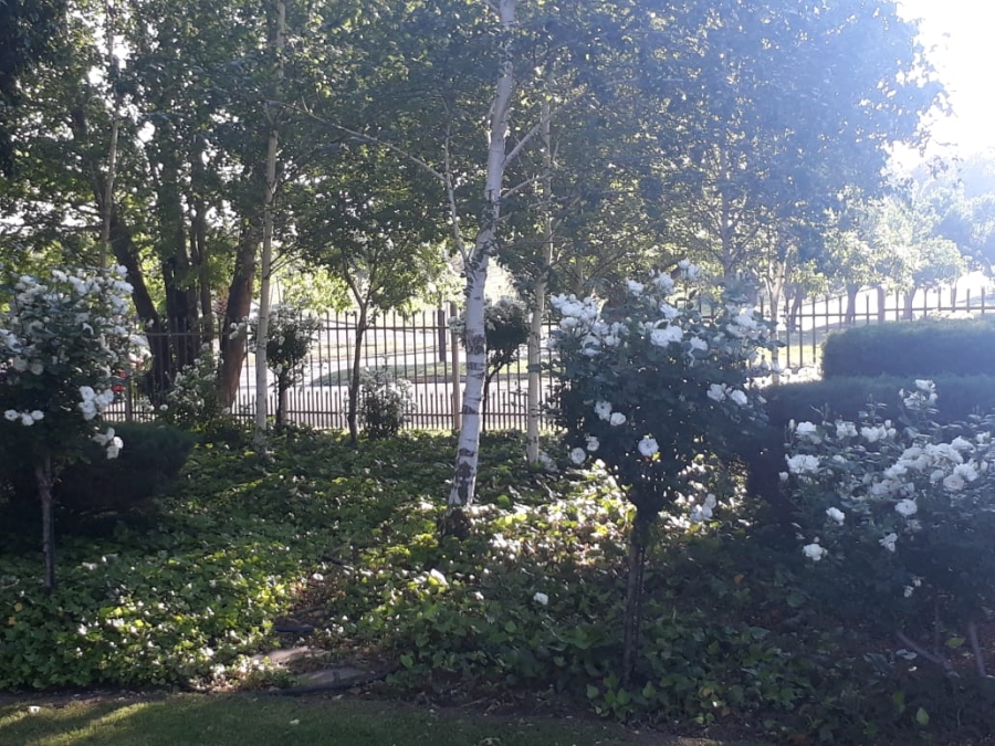 5 Bedroom Property for Sale in Frankfort Free State